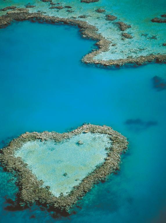 At Waterfront Whitsunday Retreat - Adults Only Aparthotel Еърли Бийч Екстериор снимка